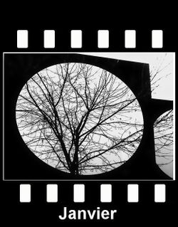 JANVIER