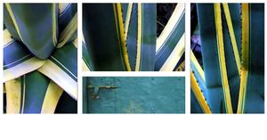 L'or s'insinue . Encore gris, vert-de-gris, vert de lauze.