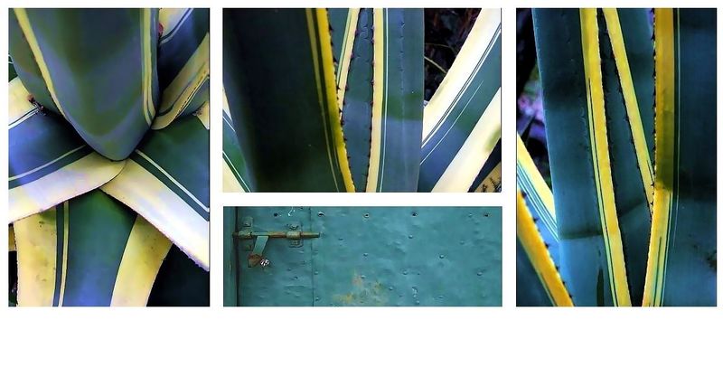 L'or s-insinue . Encore gris- vert-de-gris- vert de lauze.