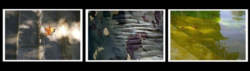 Or vois les salles d-ombre- le gr-ement disparu- le guet des par-lies perdues-