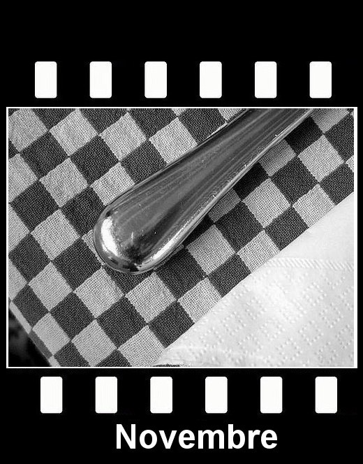 11 NOVEMBRE simplifi-