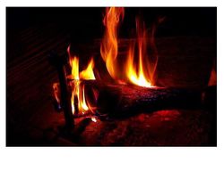 Nous nous rassasierons de ce feu aigre