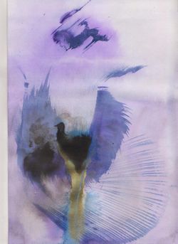 Isabelle Raviolo, Mara 13