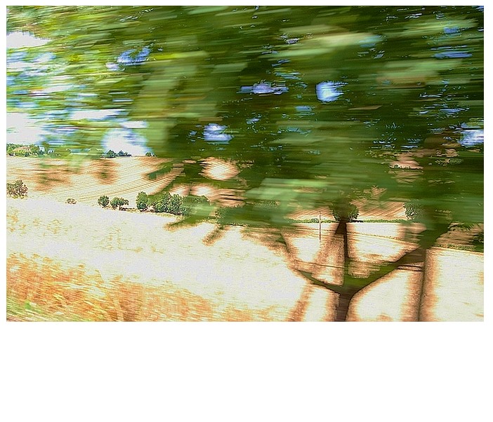 TU FUIS  L' ÉTROITE NOMENCLATURE DES CHOSES DU PASSÉ