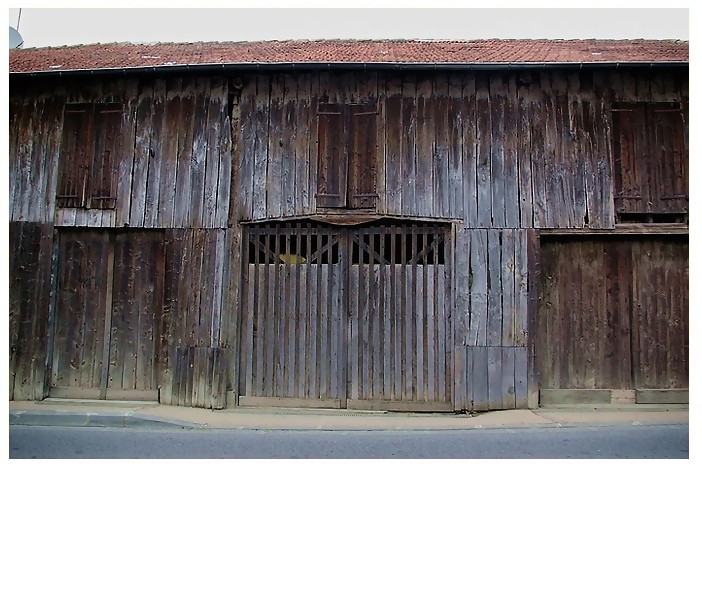 LA VIE N'A PLUS ASSEZ DE VIE