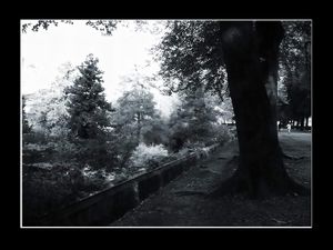 quelques minutes, quelques mètres, toujours là,dans le ciment qui parle 3 quelques minutes, quelques mètres, toujours là