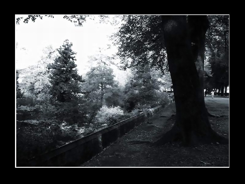 3 quelques minutes, quelques mètres, toujours là