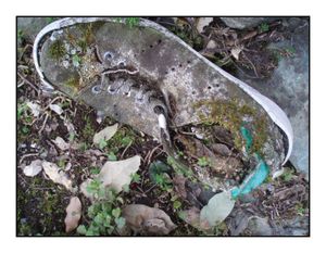 Une chaussure moussue gît à mes pieds.