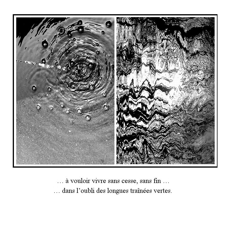 Diptyque photographique