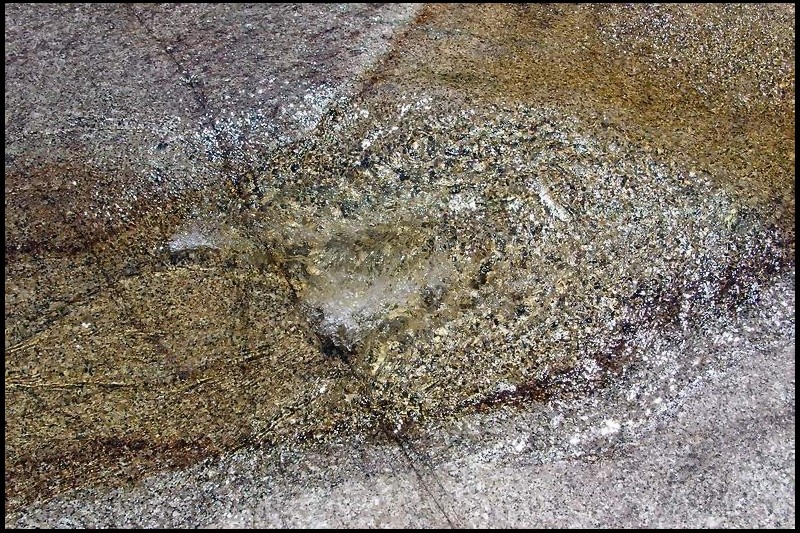 Tendre est la sonorité