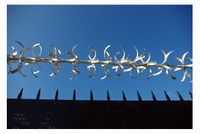 La clôture comme un pèlerinage du silence La clôture comme un pèlerinage du silence