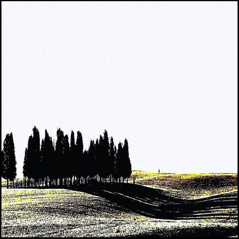 Les ombres  les plus longues