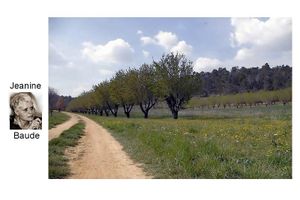 Le champ qui se déroule en appelle au chant Jeanine Baude devant un chemin paysage de Provence