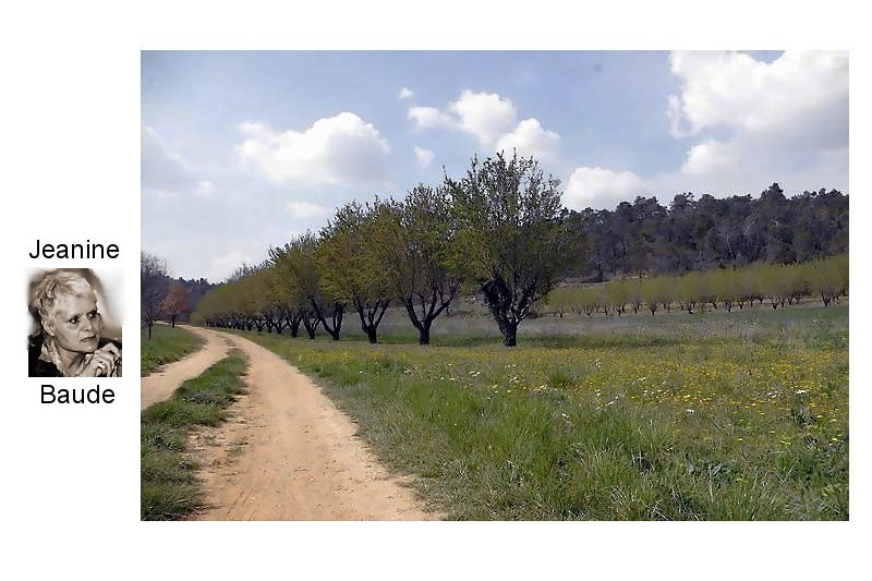Jeanine Baude devant un  chemin paysage de Provence