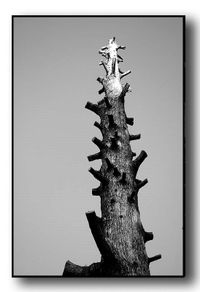 Que reste-t-il sous la cendre ?