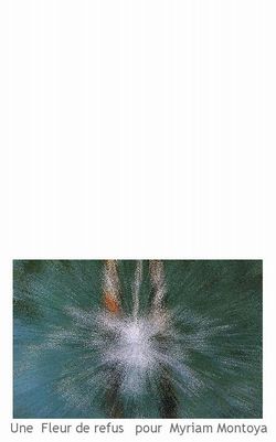 À son cadavre de tulle de danseuse épuisée