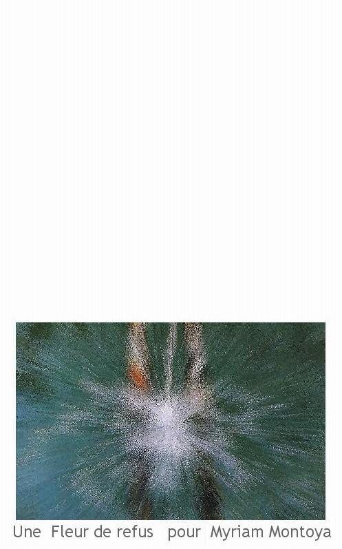 - son cadavre de tulle  de danseuse -puis-e