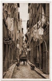 La_rue_que_j-avais_contempl-e_si_souvent_est_comme_une_section_faite_au_couteau.