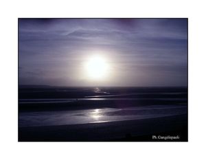 Plage du Crotoy Crotoy