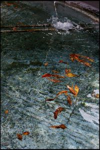 Bruit de l-eau qui tombe avec le battement de cour