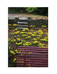 Tu savais que les fleurs me font mal