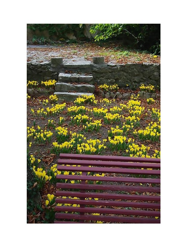 Tu savais que les fleurs me font mal