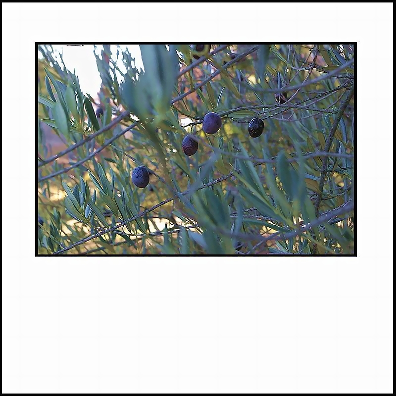 EIANIRA - Fiamma crepita nascosta agli angoli