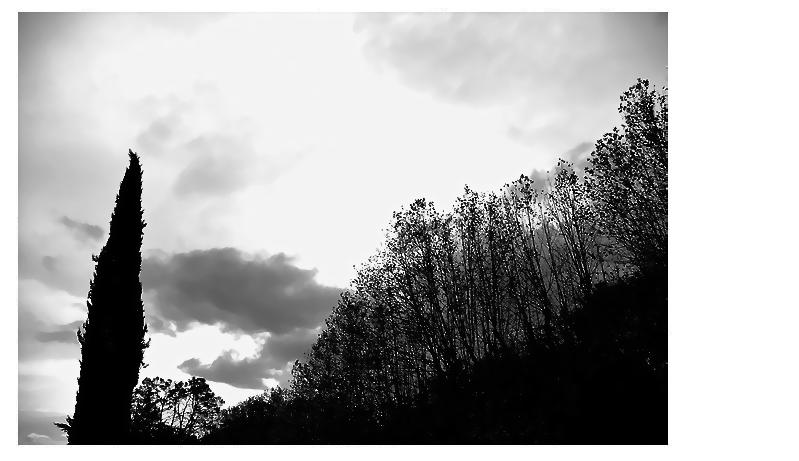 XXVI depuis la cime d-un cypr-s mystique