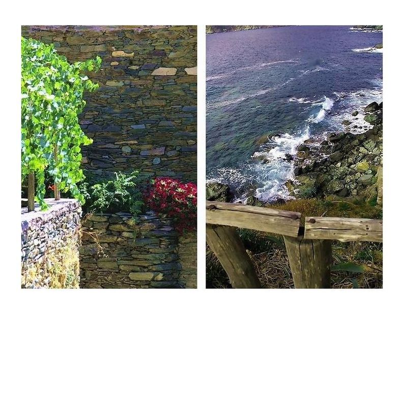 In onore di l-amori di Baccu