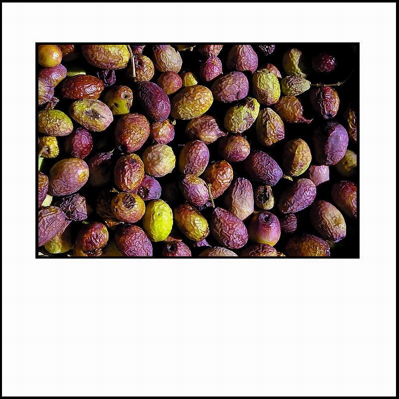 D-JANIRE -  poign-es d-olives mises - s-cher au soleil