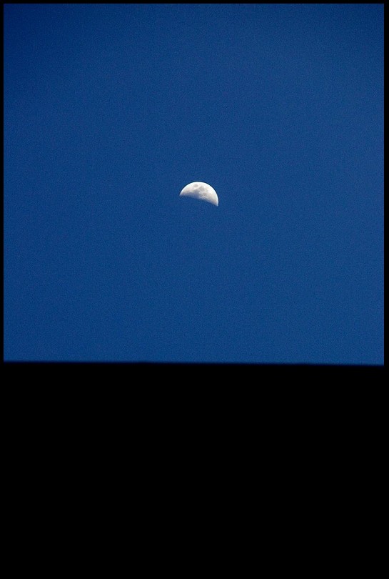 Le cour des t-n-bres