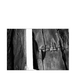 Il legno è segnato, vulnerabile, ustionato Il legno - segnato- vulnerabile- ustionato