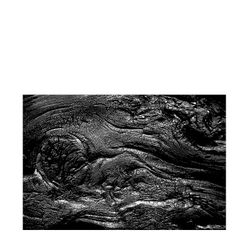 Le bois est marqué, vulnérable, calciné Le bois est marqu-- vuln-rable- calcin-.