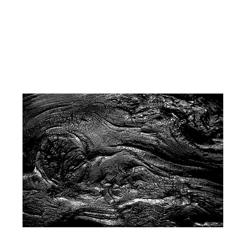 Le bois est marqu-- vuln-rable- calcin-.