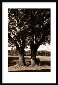 Est-ce la voix des autres qui donne - ton silence un lieu