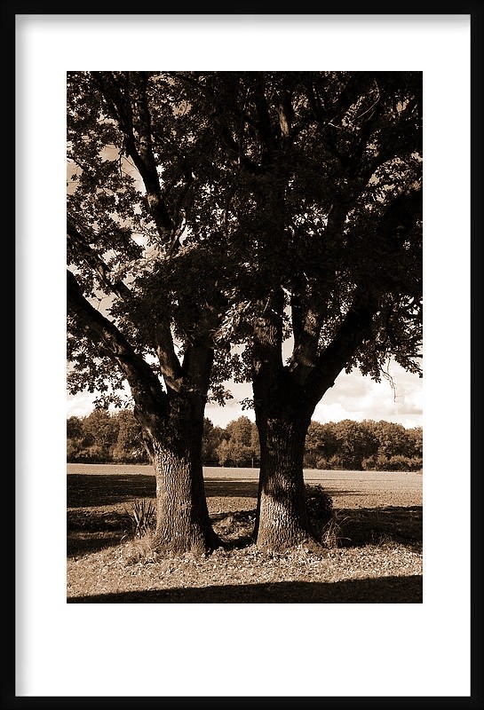 Est-ce la voix des autres qui donne - ton silence un lieu