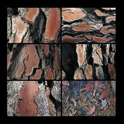 Le projet d'écriture s'effrite tout comme s'effrite peu à peu l'écorce de la vie