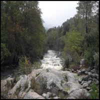 Il se peut.  que le fleuve ne lave rien de la m-moire