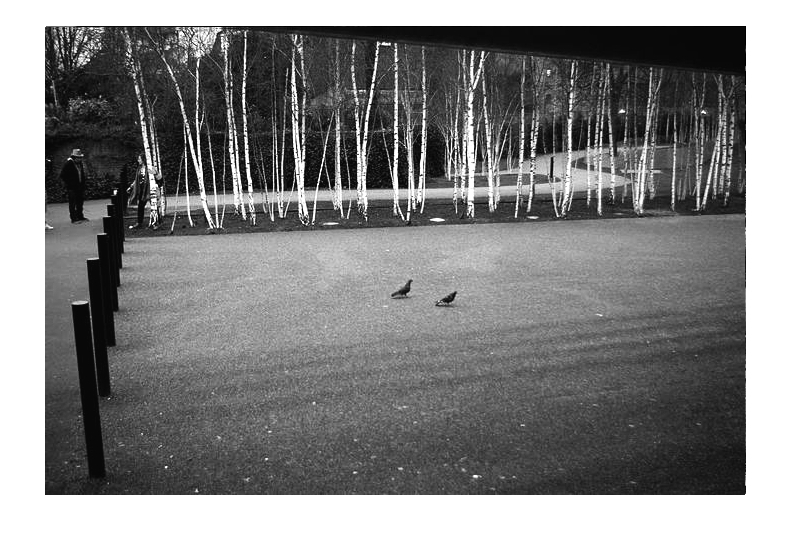 Flacons de m-moires sutur-es