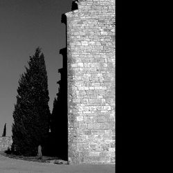 Femme o- le cypr-s s-oriente