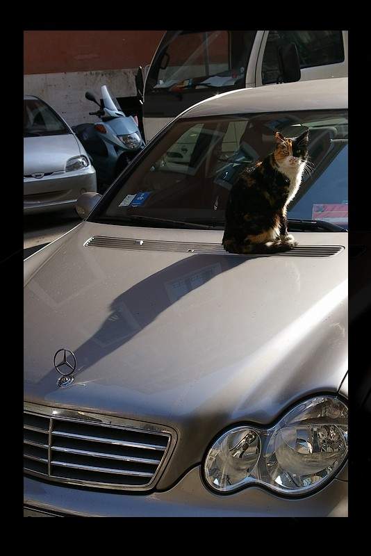 -Et je jure apr-s le soleil - comme un chauffeur routier international-