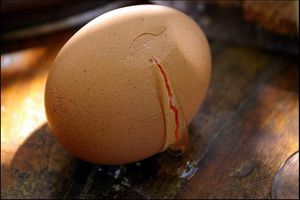  matière semblable<br />
au blanc d’oeuf, enduit dégoulinant de la fissure