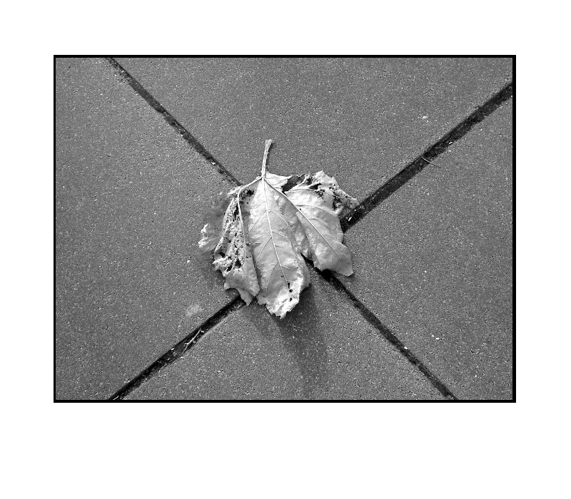 1 basta un sogno sbagliato