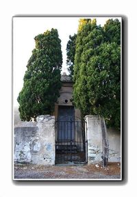 1 parmi les tombes des d-funts