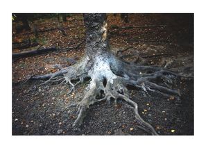 la tentation de déterrer ce qui se pense au plus gris du corps Gyr2