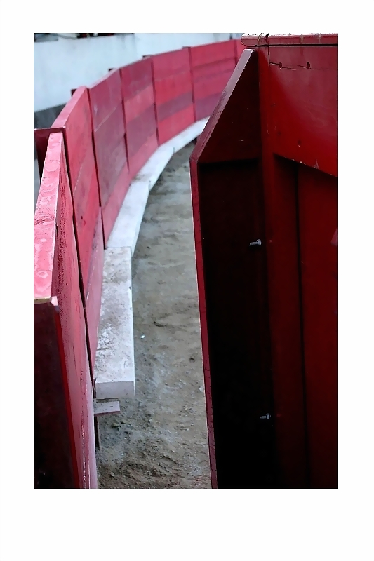 Le rouge est ma couleur- celle du r-gne animal