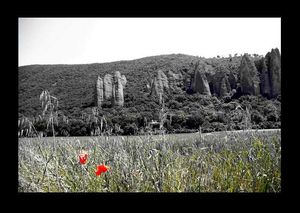 dans l’ombre ardente \ jour après jour \ la voix qui geint Madani2