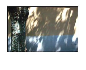 Poème / blême / arpente la muraille Jackie2