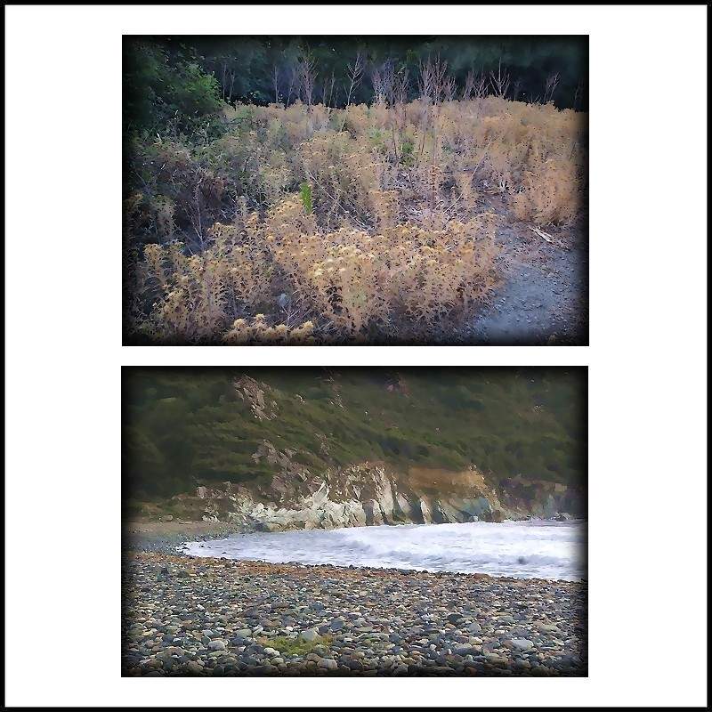 Nausicaa- confie-moi ton r-ve-asphod-les-plage-