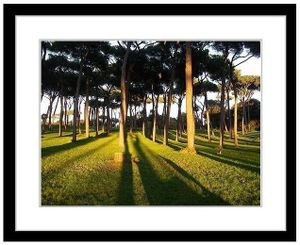 Luce romana Luce romana en 635